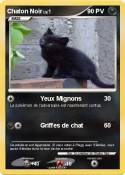 Chaton Noir