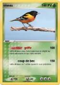 oiseau oiseau