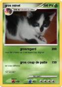 gros minet