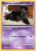 bouvier des flandres fail bouvier des