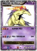 MASTER DE FEU