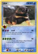 chiot chiot