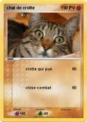chat de crotte