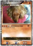 samy2