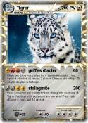 Tigror