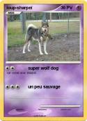 loup-sharpeï loup-sharpeï