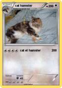 cat hamster