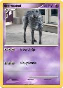 deerhound