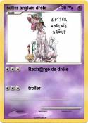setter anglais