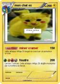 mon chat ex