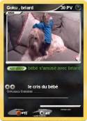 Goku , briard