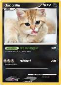 chat crétin