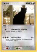 cachou