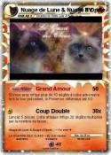 Nuage de Lune &