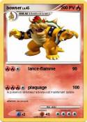 bowser bowser