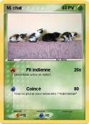 M. chat