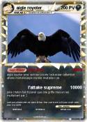 aigle royoter