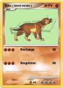 Riku ( bred
