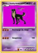 Sonic ( husky-beauceron mix ) Sonic (