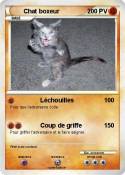 Chat boxeur