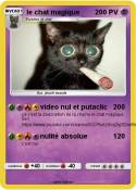 le chat magique