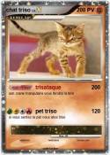 chat triso