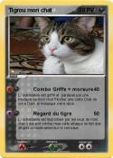 Tigrou mon chat