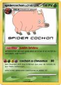 spidercochon