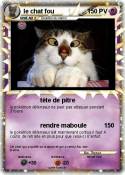 le chat fou