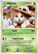 Chat-peau