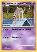 irish wolfhound
