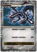 dragon noir