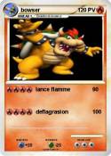 bowser