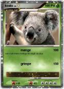 koala