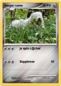 berger russe