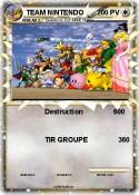TEAM NINTENDO