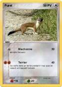 Furet