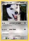 chien fou