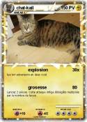 chat-kail