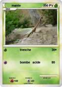 mante