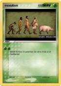 evolution