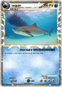 requin