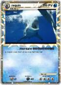 requin
