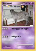 deerhound deerhound
