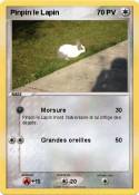 Pinpin le Lapin