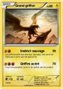 Grand griffon