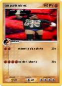 cm punk niv ex