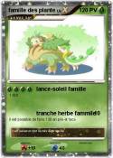 famille des plante famille des