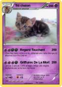 Titi chaton