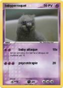 babyperroquet